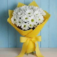 Букет цветов из:  Хризантемы в Дрезне