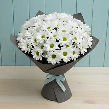 Букет цветов из:  Хризантемы #REPLACE_PRED# Дрезне