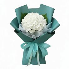 Букет цветов из:  Гортензия в Дрезне